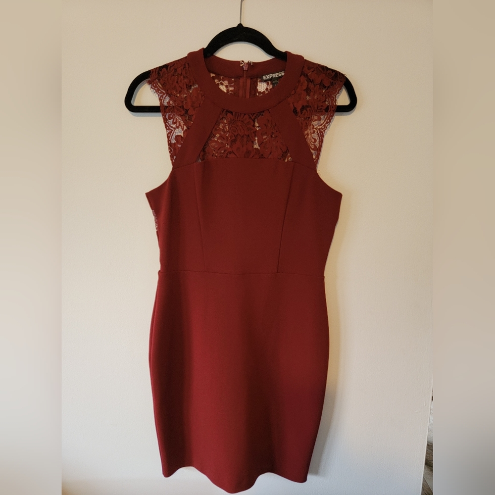 Express lace bodycon dress
